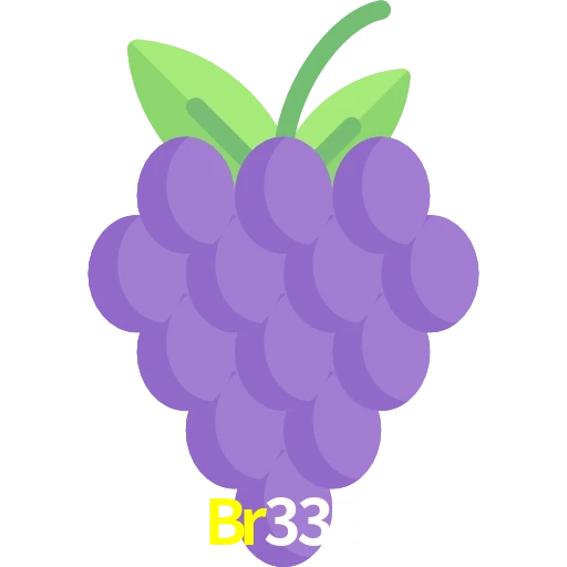 Br333
